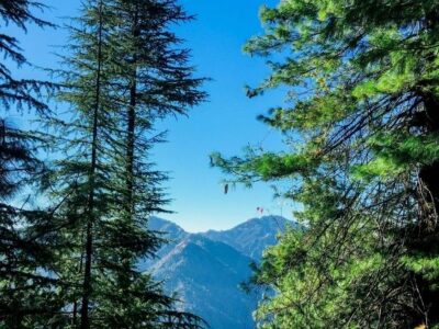 मशोबरा यात्रा गाइड: शिमला के पास शांत वीकेंड डेस्टिनेशन